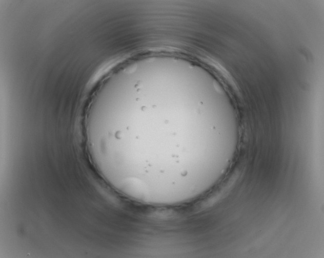 X0000114570978200910191030