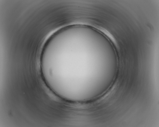 X0000114570980200910191030