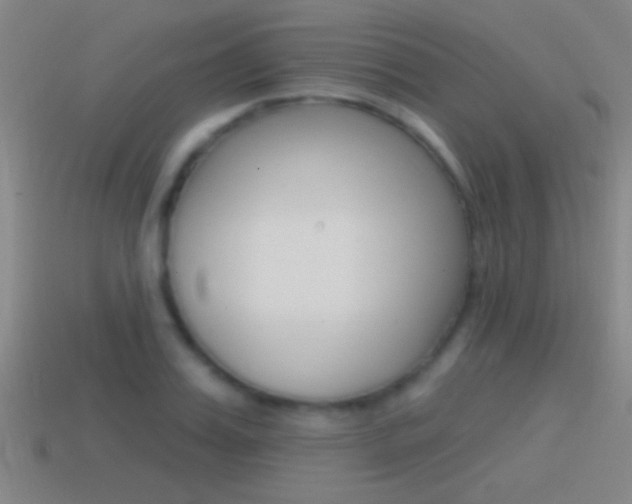 X0000114570987200910191030