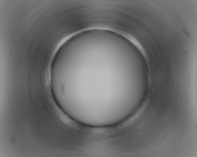 X0000114570988200910191030