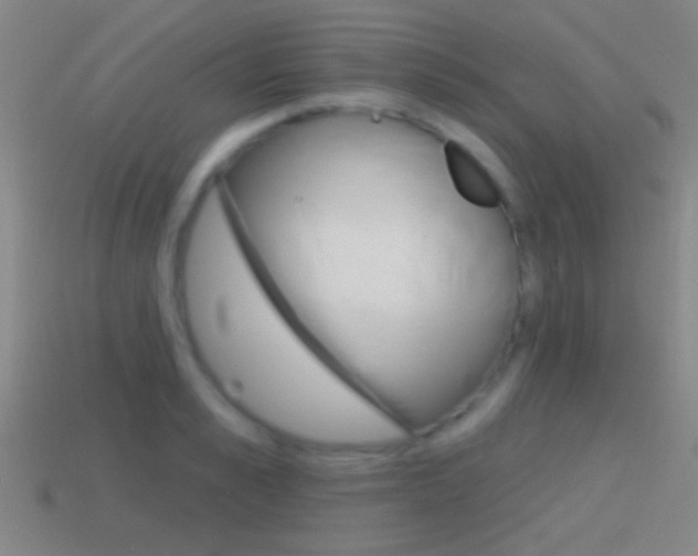X0000114570989200910191030