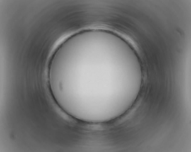 X0000114570990200910191030