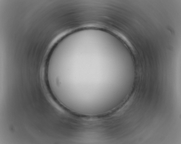 X0000114570991200910191030