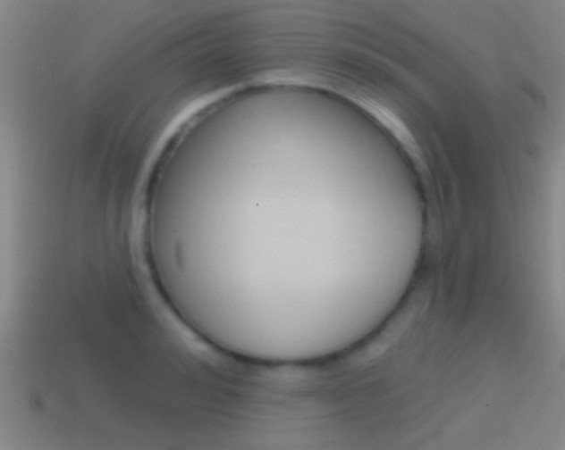 X0000114570992200910191030