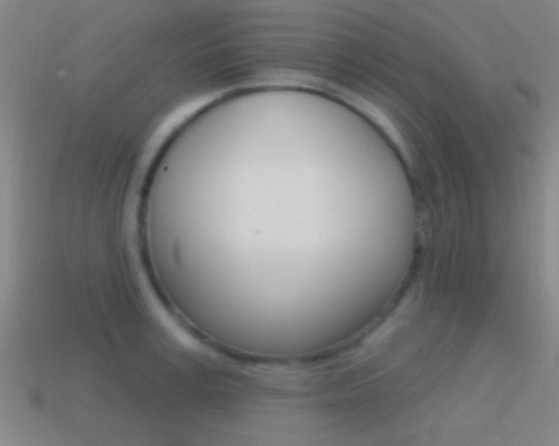 X0000114570995200910191030