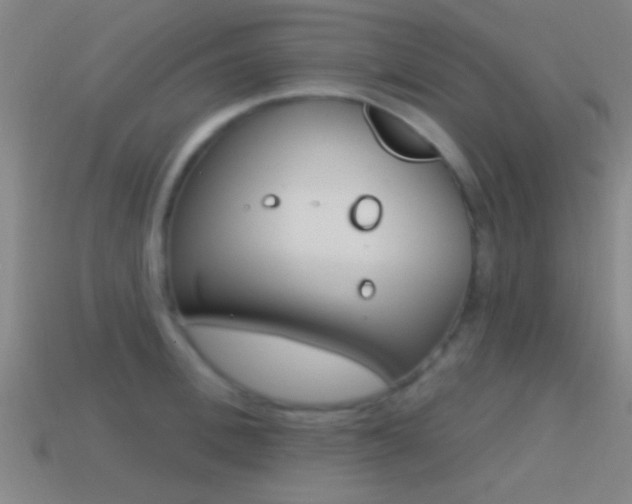 X0000114570996200910191030