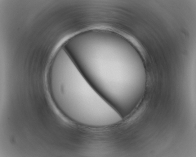 X0000114570999200910191030