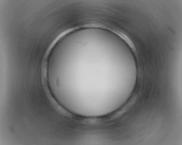 X0000114571000200910191029