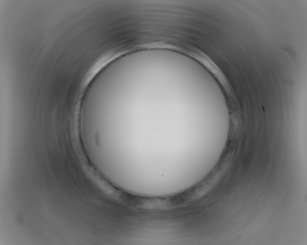 X0000114571002200910191029