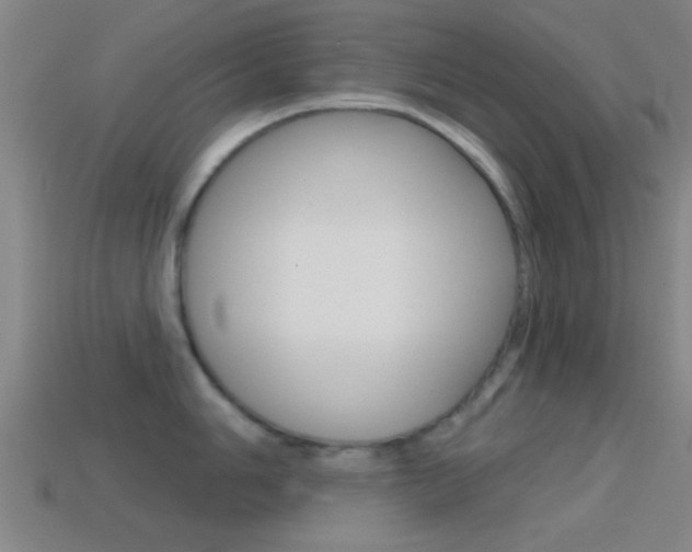 X0000114571006200910191029