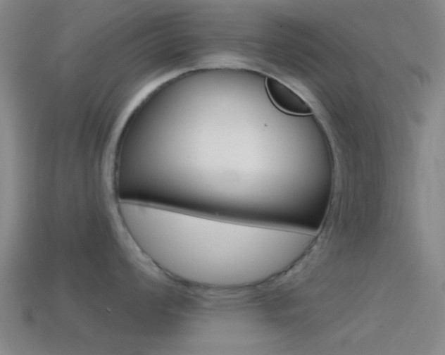 X0000114571008200910191029