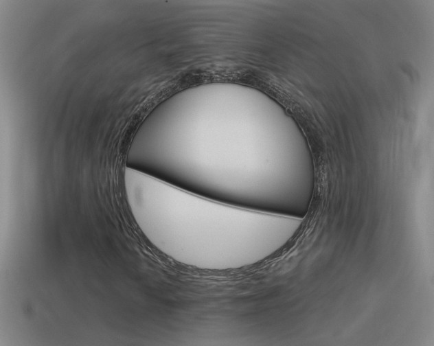 X0000114571010200910191029