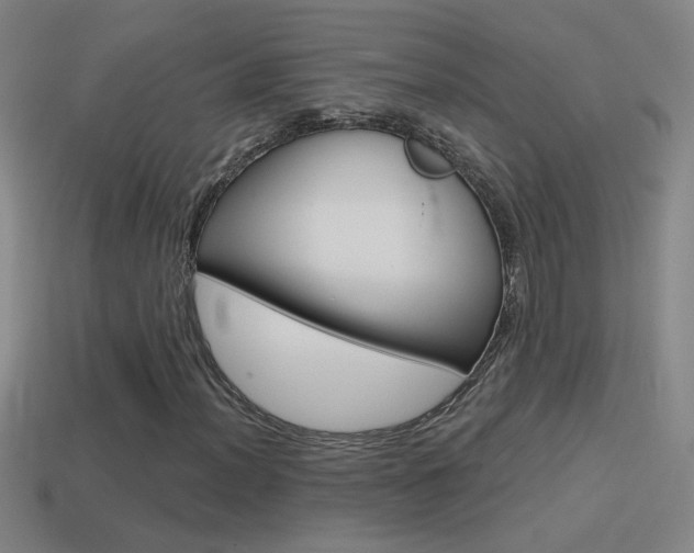 X0000114571012200910191029