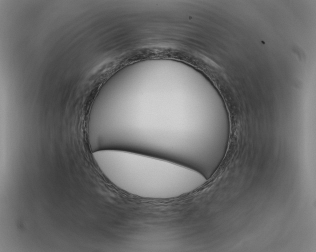 X0000114571014200910191029