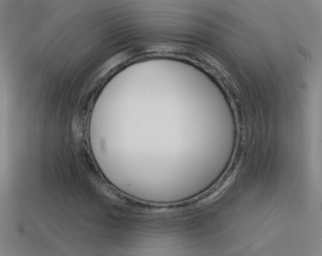 X0000114571017200910191029