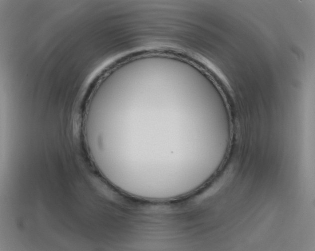 X0000114571021200910191029