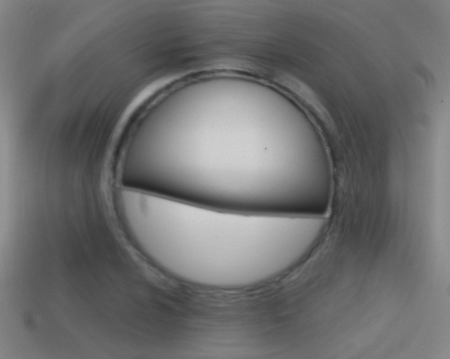X0000114571024200910191029
