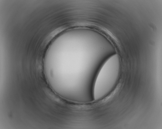 X0000114571025200910191029
