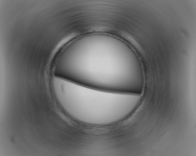 X0000114571026200910191029