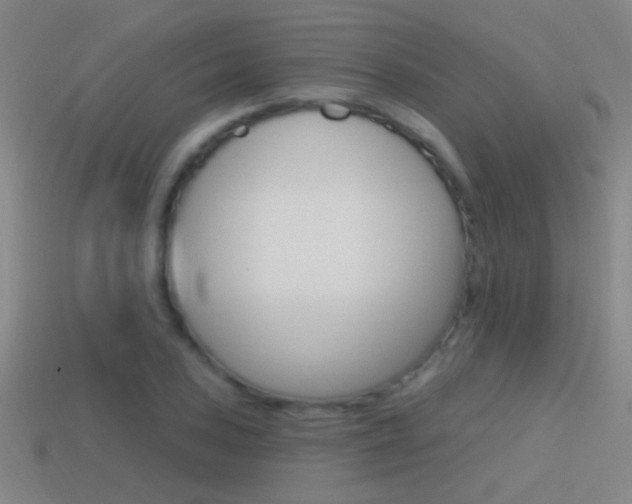 X0000114571027200910191029