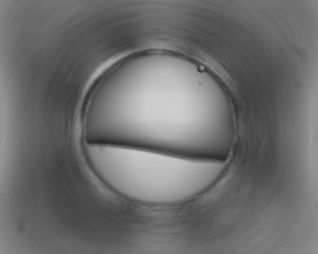 X0000114571028200910191029