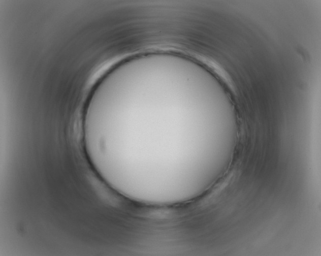 X0000114571031200910191029