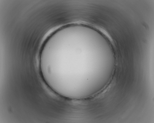 X0000114571032200910191029