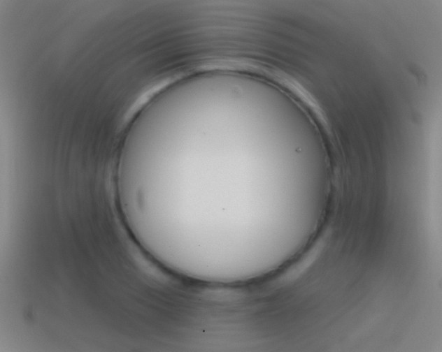 X0000114571033200910191029