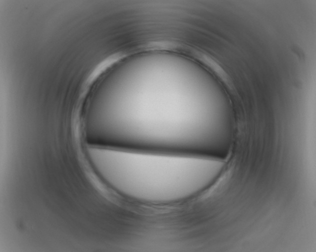 X0000114571034200910191029