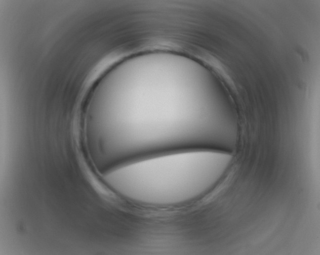 X0000114571038200910191029
