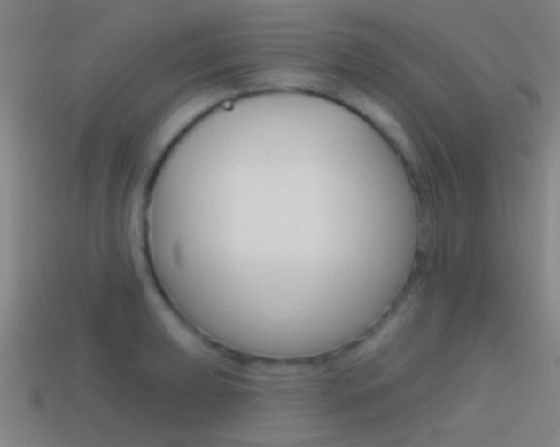 X0000114571039200910191029