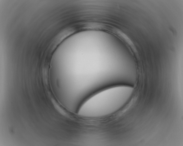 X0000114571041200910191029
