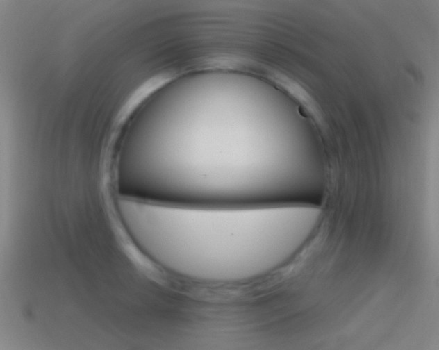 X0000114571042200910191029