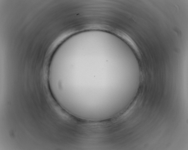 X0000114571043200910191029