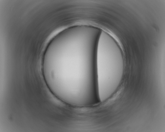 X0000114571045200910191029