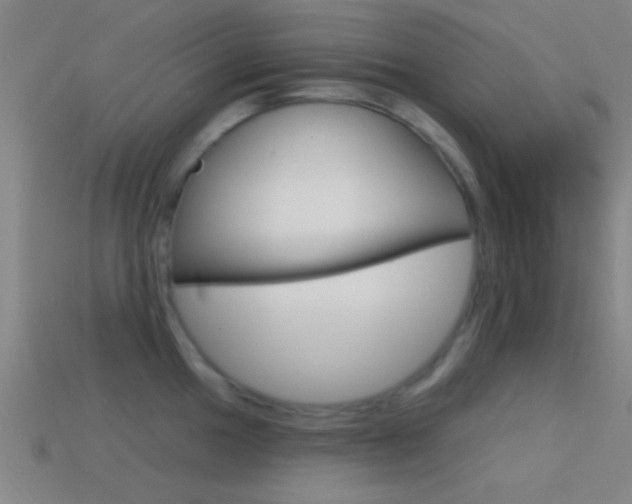 X0000114571049200910191029