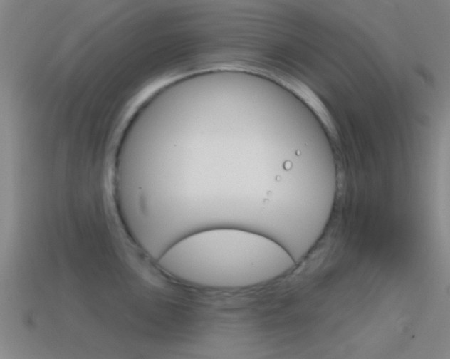 X0000114571051200910191029