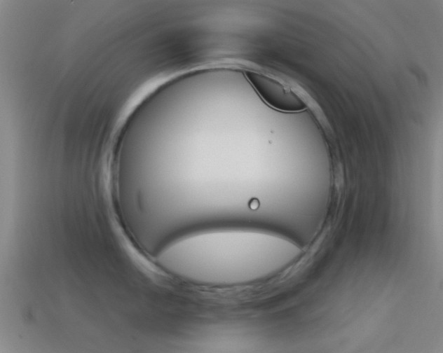 X0000114571054200910191029