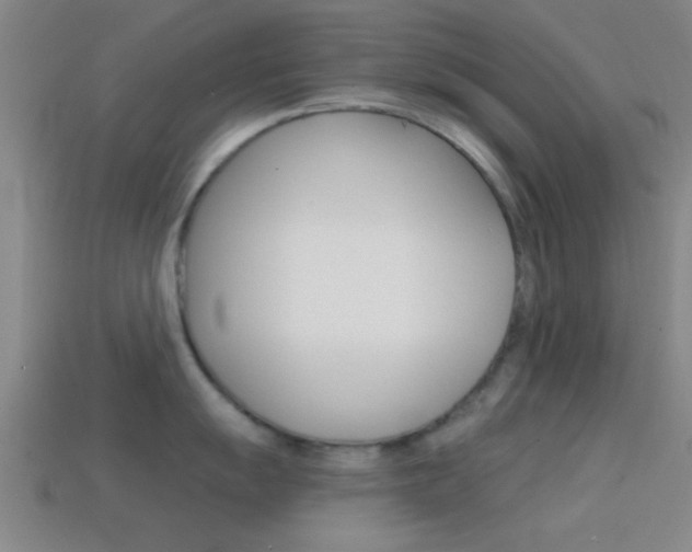 X0000114571055200910191029