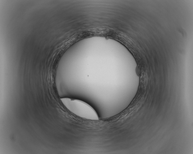 X0000114571058200910191029