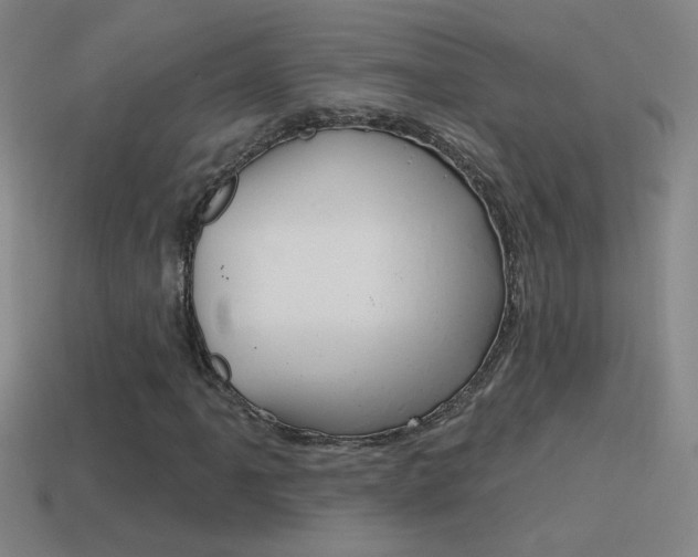 X0000114571061200910191029