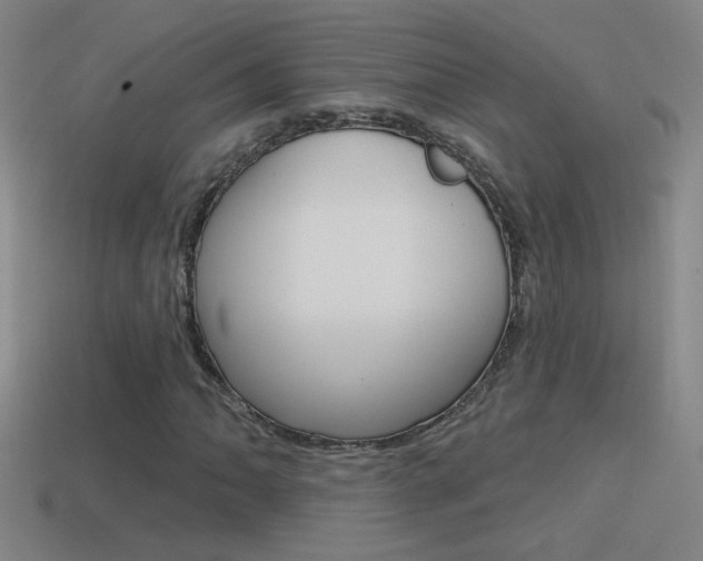 X0000114571062200910191029