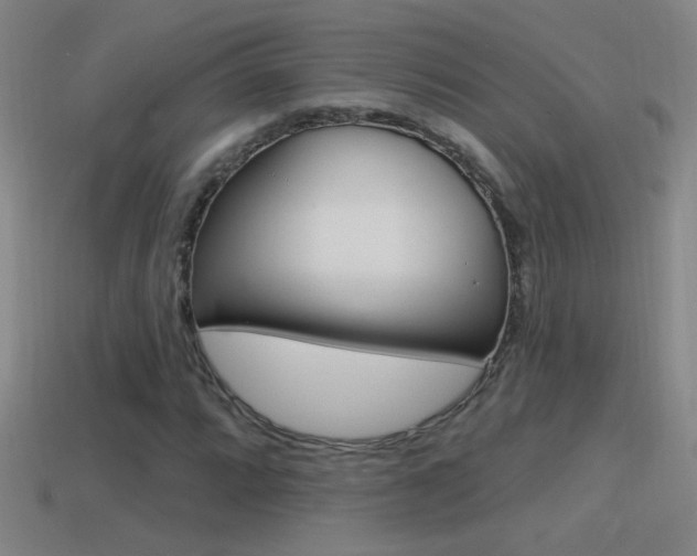 X0000114571064200910191029