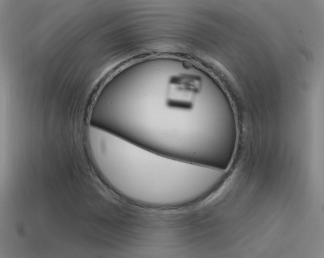 X0000114571065200910191029