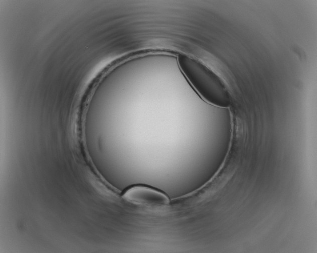 X0000114571068200910191029
