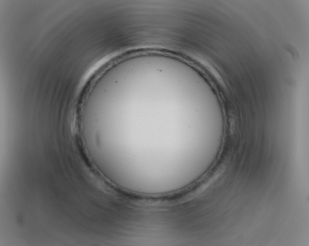 X0000114571069200910191029