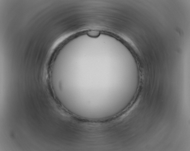 X0000114571070200910191029