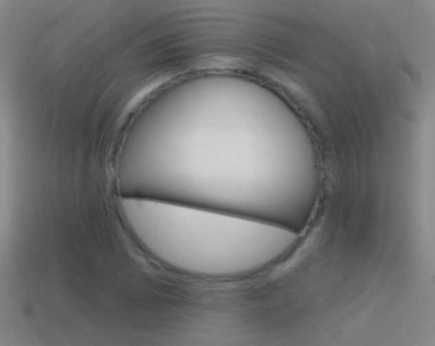 X0000114571073200910191029