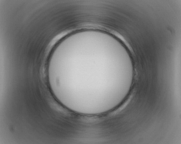 X0000114571074200910191029