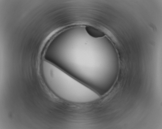 X0000114571076200910191029